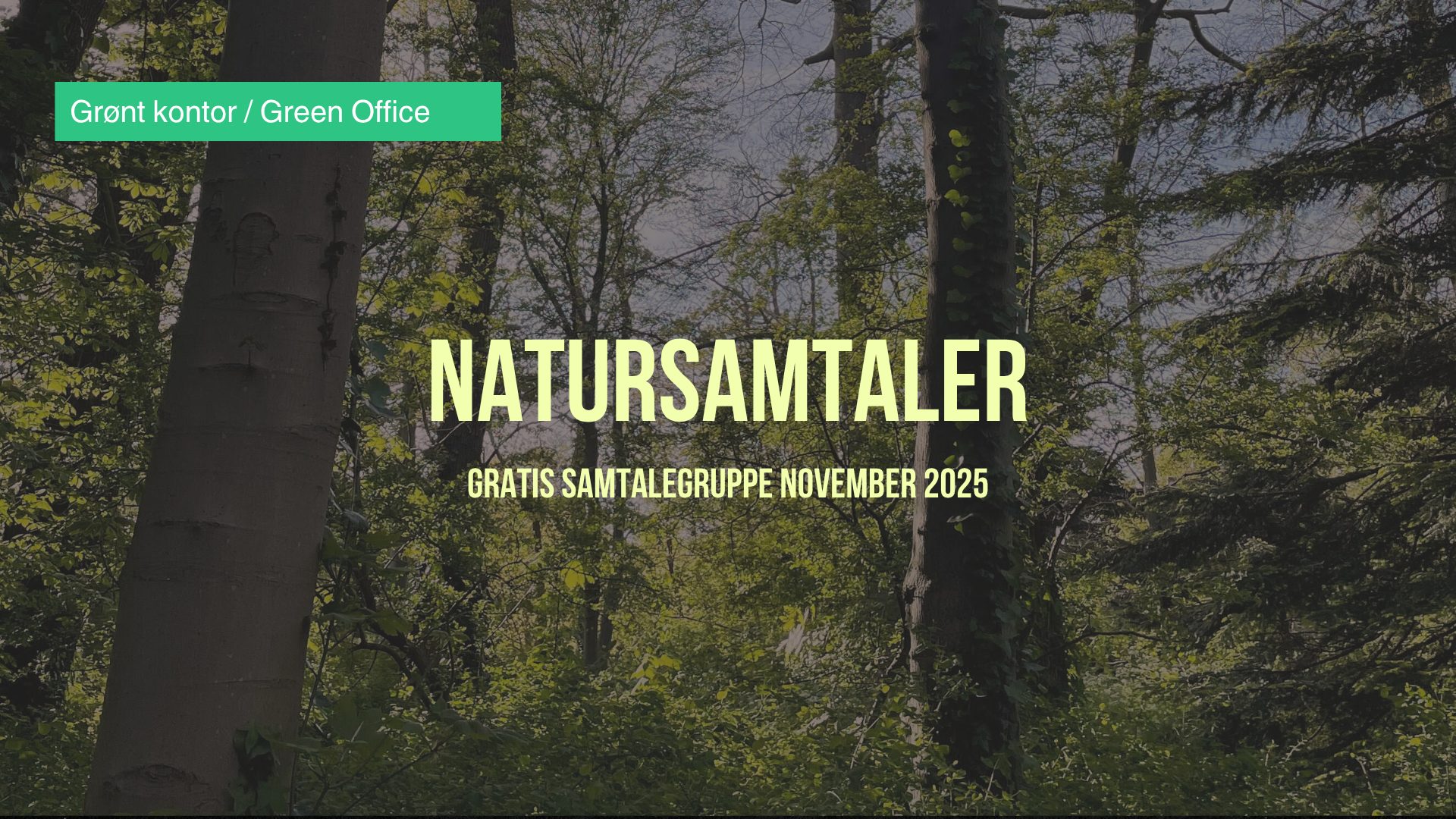 Photo of trees. Yellow text: Nature Conversations - Dialogue group fall 2025.
