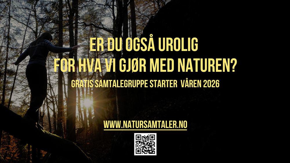 Photo of trees. Yellow text: Nature Conversations - Dialogue group spring 2026.