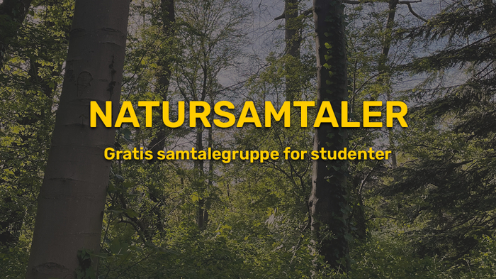 Photo of trees. Yellow text: Nature Conversations. Dialogue group for student.